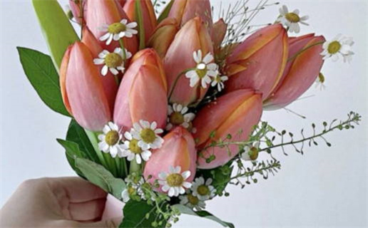 农历二〇三〇年二月初八黄历领证不推荐吗,这天领证合适吗