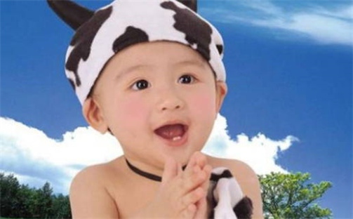 张姓女孩子取名