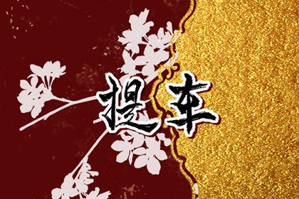 2026年08月25日不适宜提新车吗,提车吉日查询