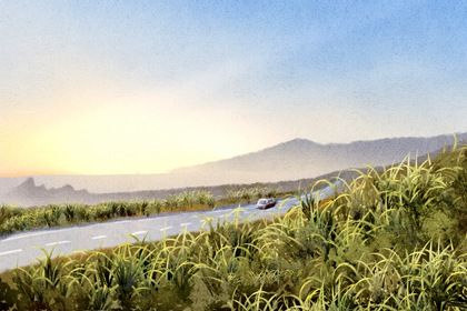 农历二〇二八年四月初二黄历不适宜取车吗,提车好日子有哪些