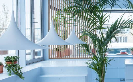 2031年01月26日不适宜装修吗,装修吉日查询