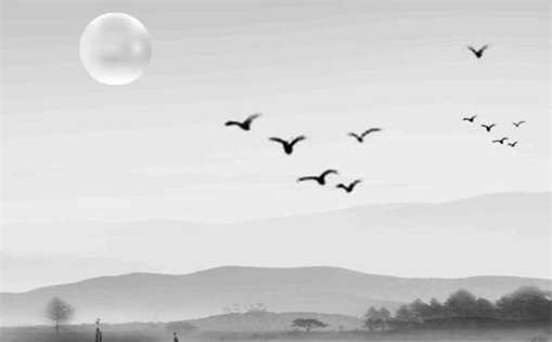 2031年9月13日装修指南：宜忌事项与最佳选择解析