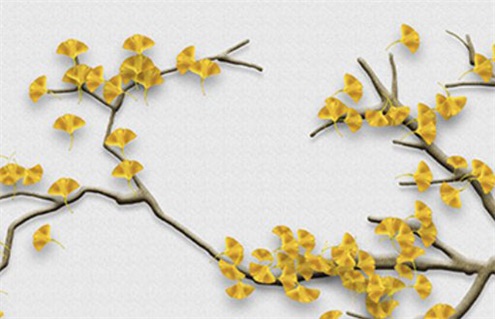 2029年4月21日装修指南：适宜与忌讳助您打造理想家居